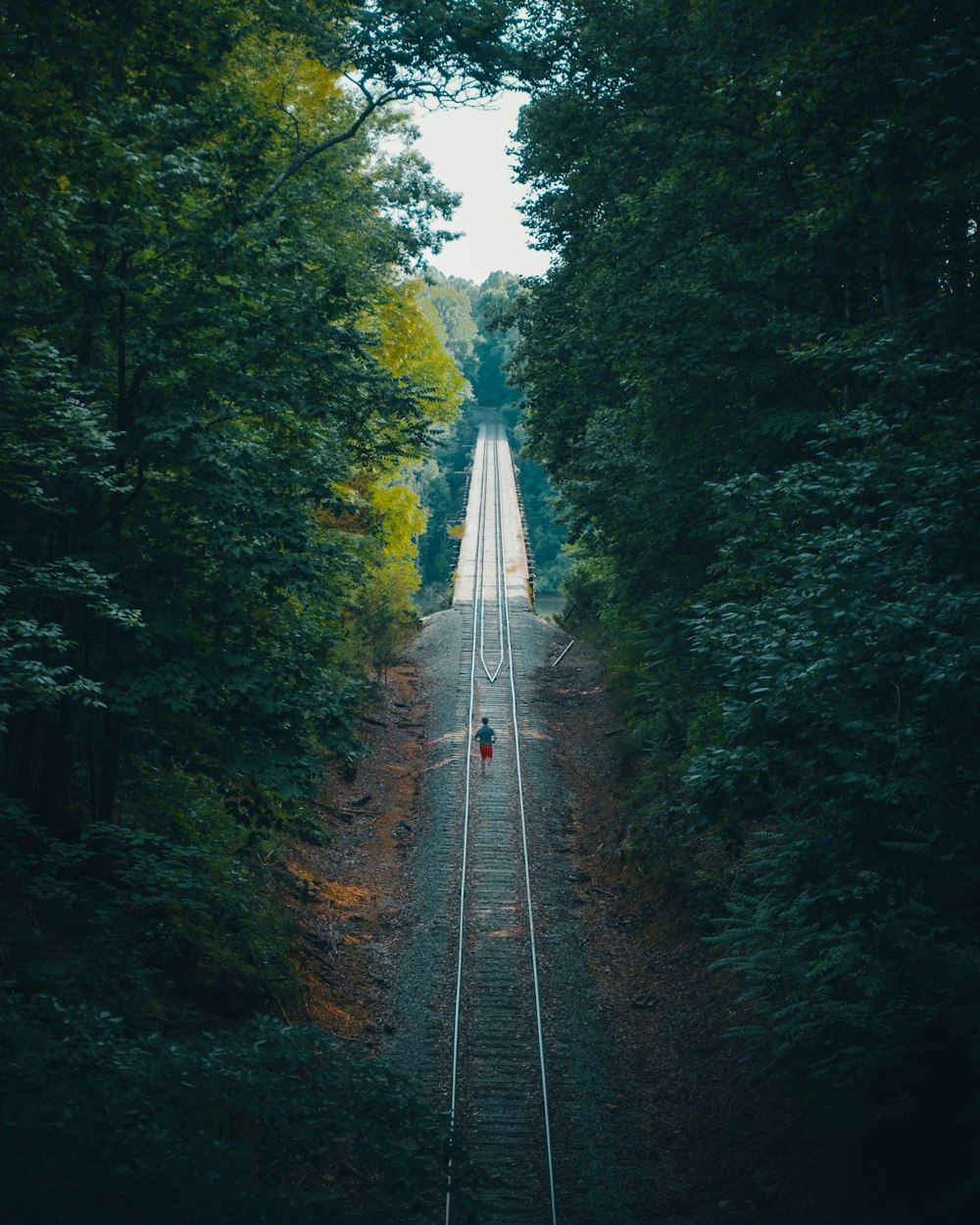 person walking in the middle of railway