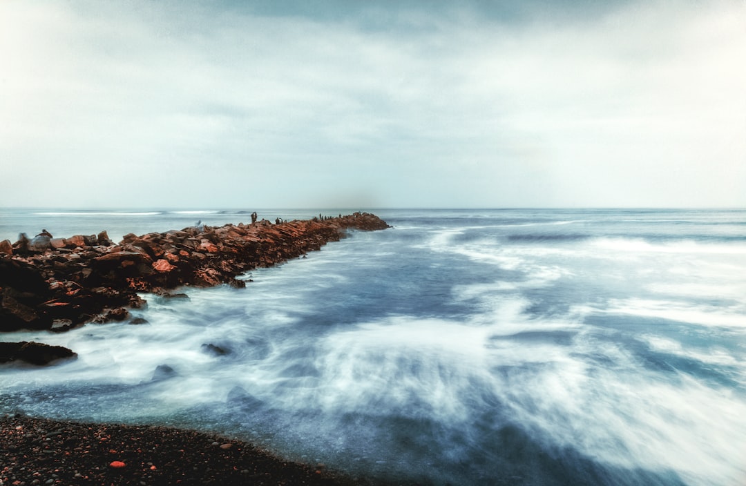 brown rock dock, Long View