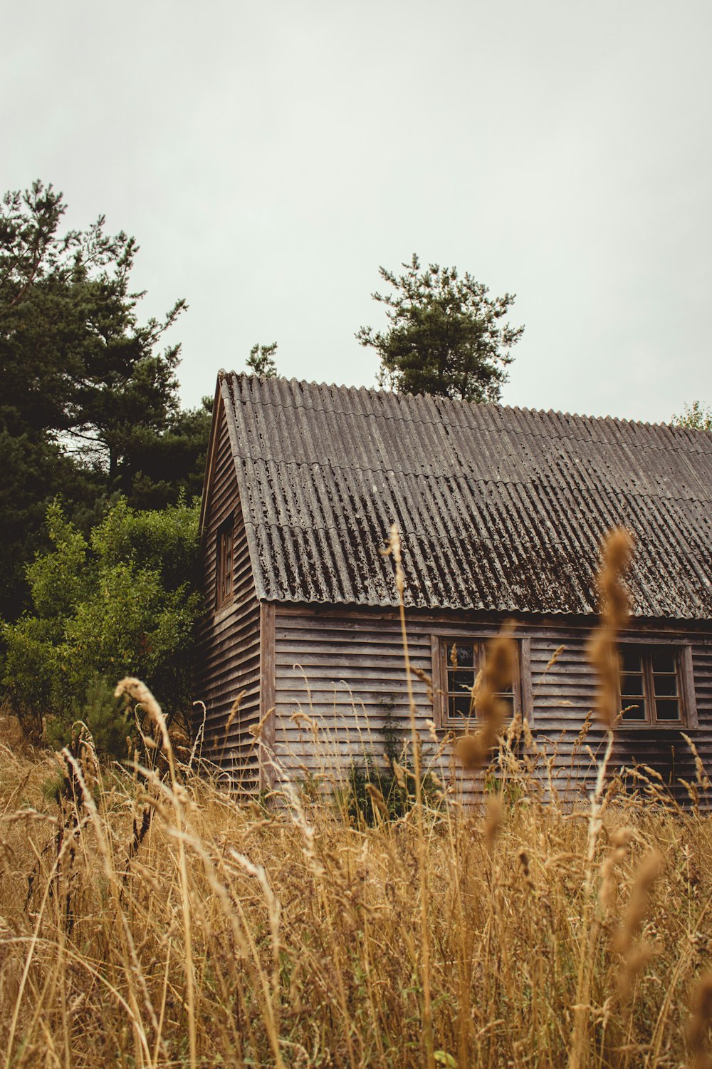 brown wooden cabin on field of grass