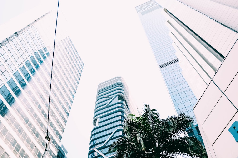 low angle photo of high rise curtain wall buildings