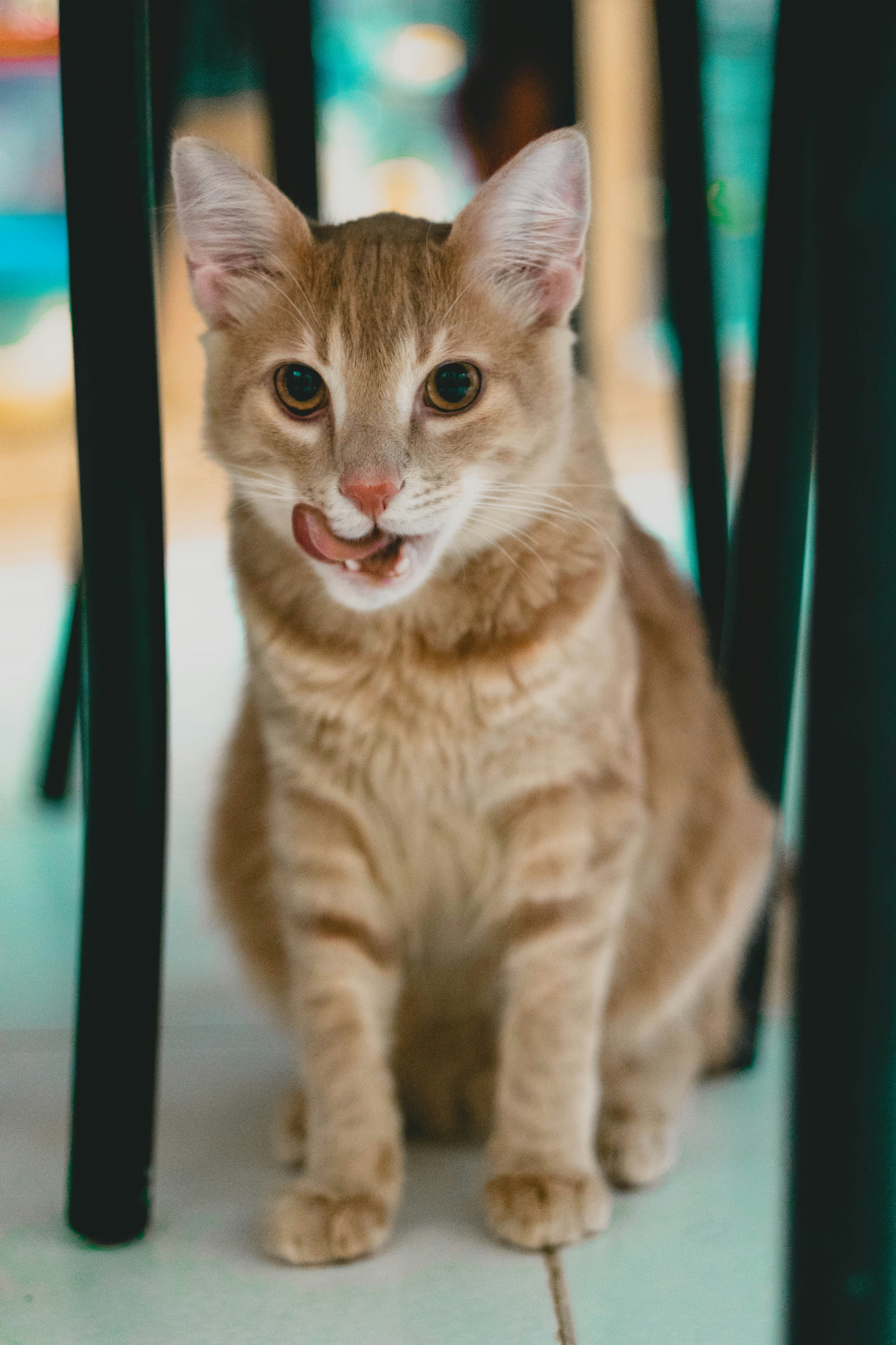 photo-1533057016001-05de79f42a4a?ixlib=rb-1.2.1&ixid=eyJhcHBfaWQiOjEyMDd9&auto=format&fit=crop&w=934&q=80