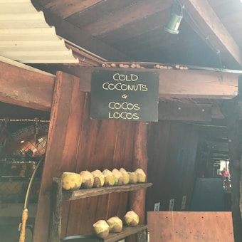 A rustic wooden stall displaying fresh coconuts with a black sign overhead that reads 'Cold Coconuts & Cocos Locos'. The coconuts are arranged on wooden shelves under a roof with wooden beams.