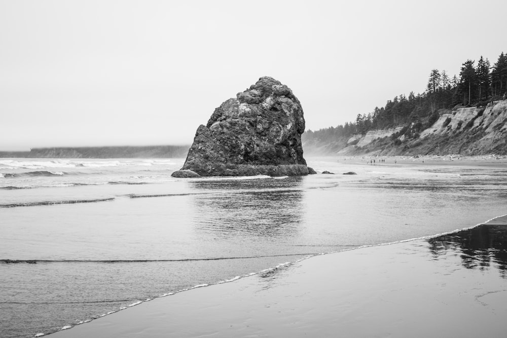 grayscale photo of sea shore