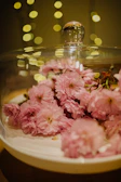 Artistic photo of a candy bouquet arranged like a bouquet of flowers, bathed in warm natural light