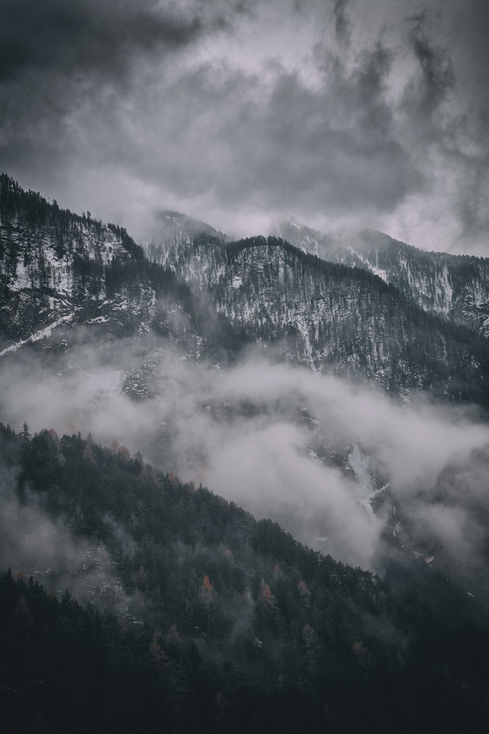 foresta montagna coperta di nuvole fotografia aerea