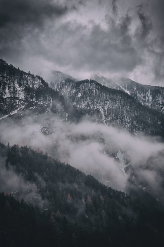 forest mountain covered with clouds aerial photography in Rieserferner-Ahrn Nature Park Italy