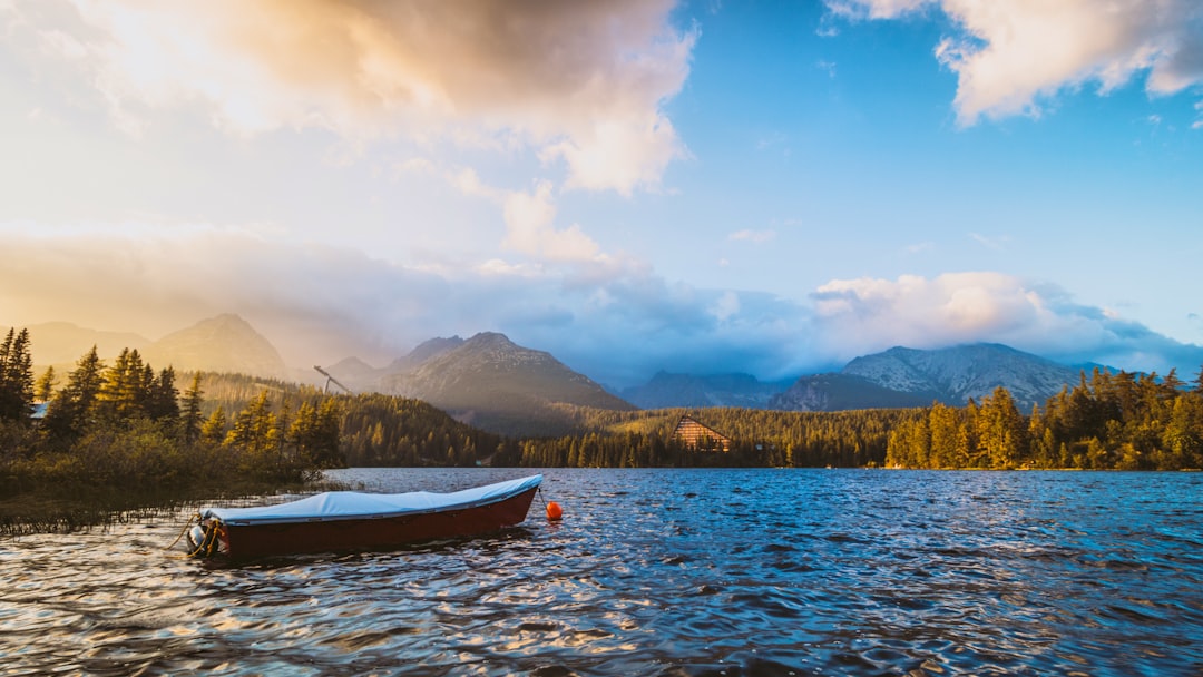 white boat on water near tree-covered shore under white clouds