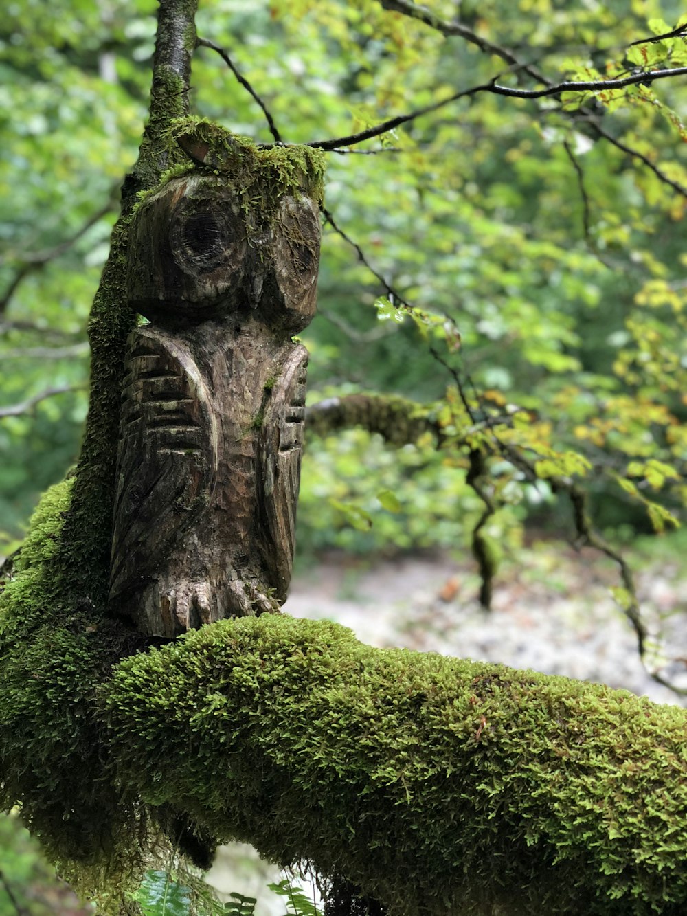 owl wooden sculpture on tree branch