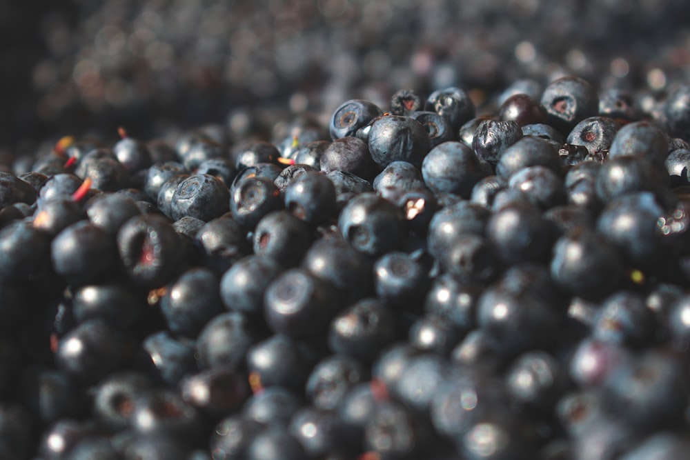 selective focus photography of blueberry wallpaper