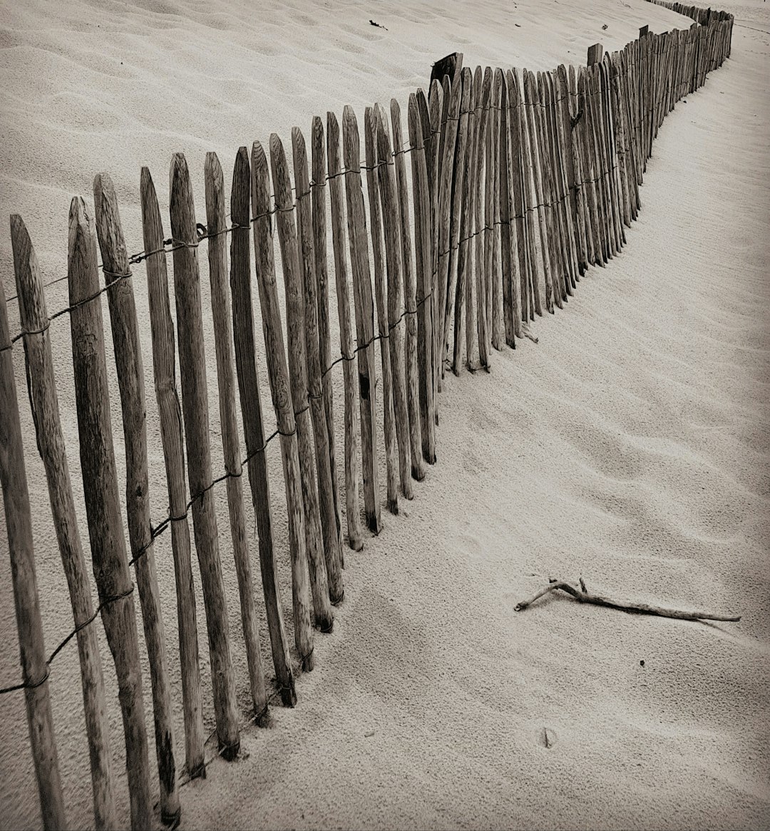 Beach photo spot 47 Avenue des Dunes Mimizan Plage