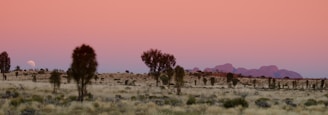 A serene desert landscape with muted colors.