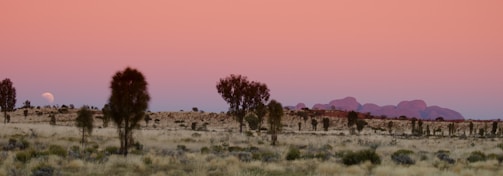 A serene desert landscape with muted colors.