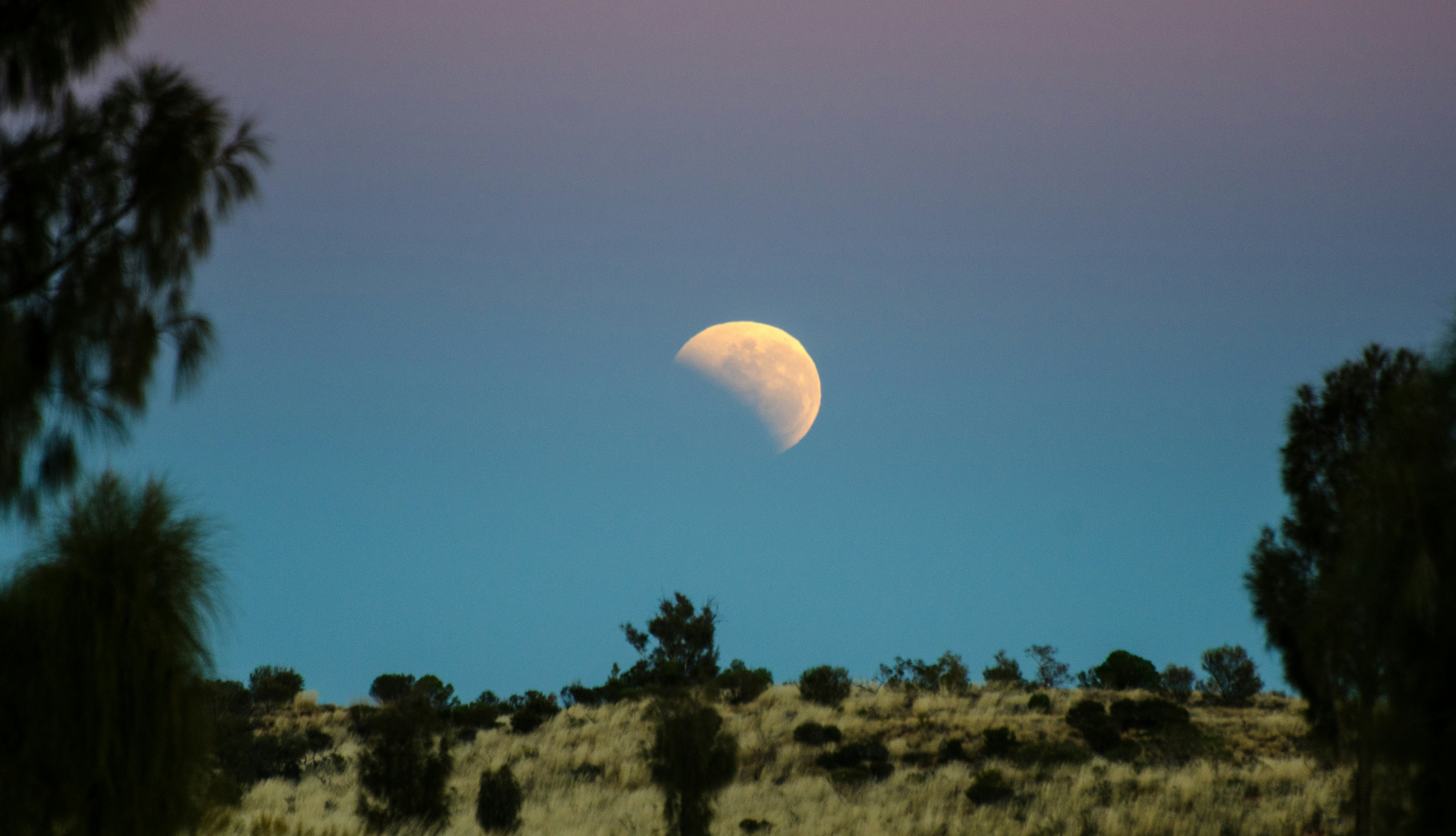 hilal sohbet Odaları