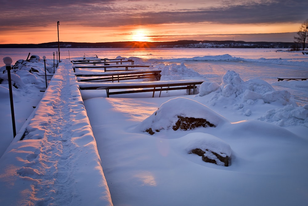 benches covered with snow
