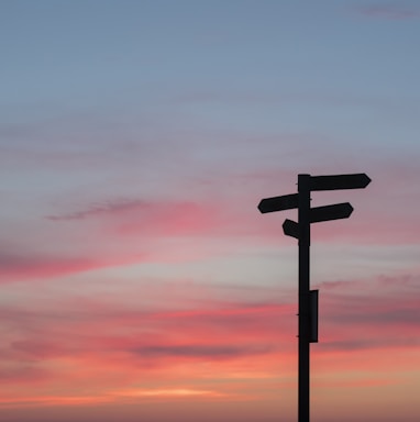 silhouette of road signage during golden hour