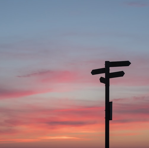 silhouette of road signage during golden hour