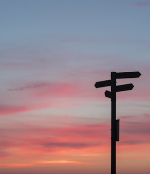 silhouette of road signage during golden hour