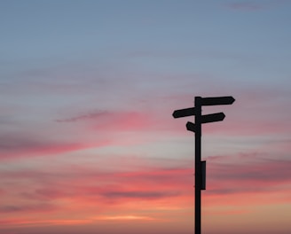 silhouette of road signage during golden hour