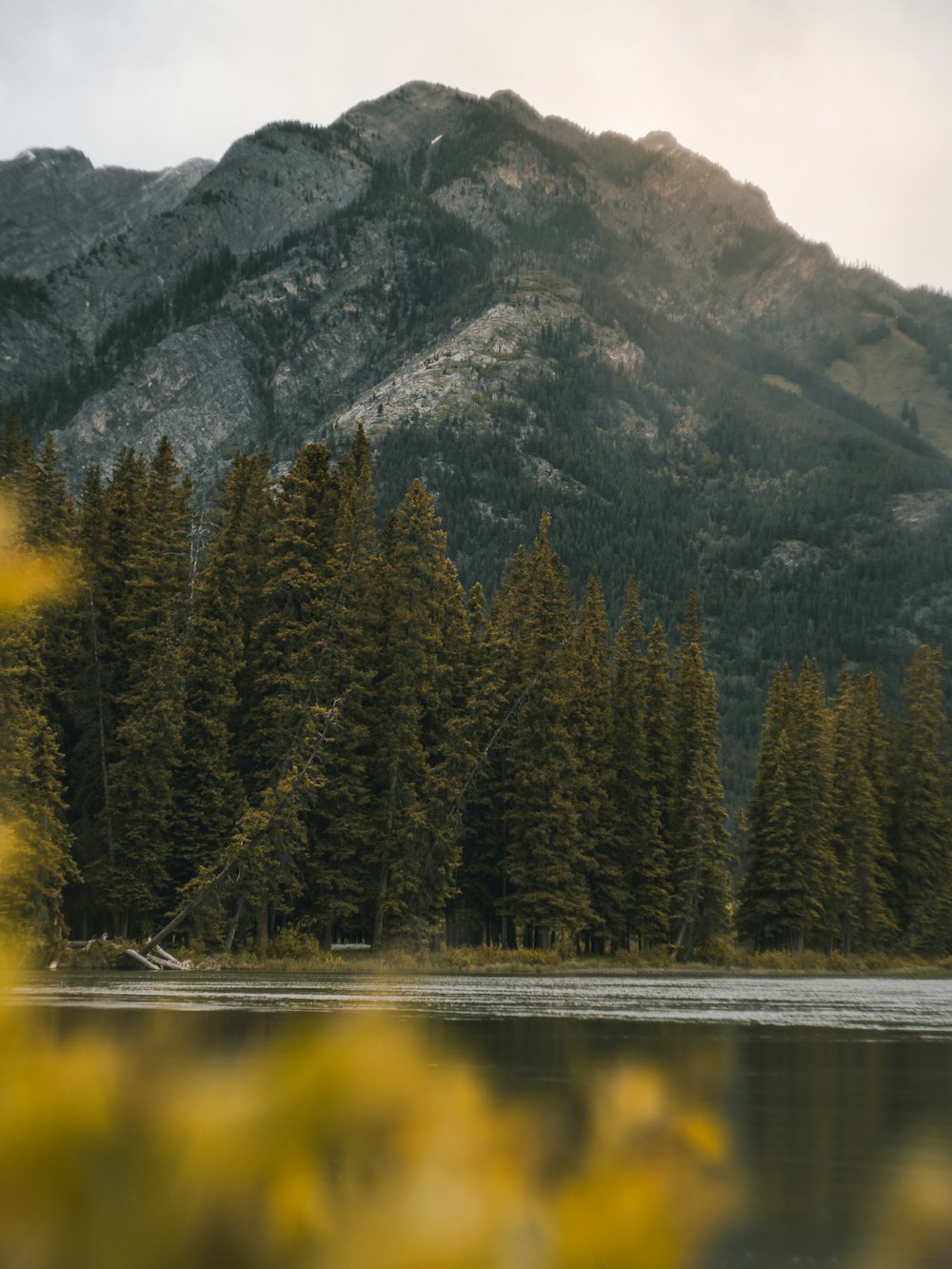 body of water near to mountain