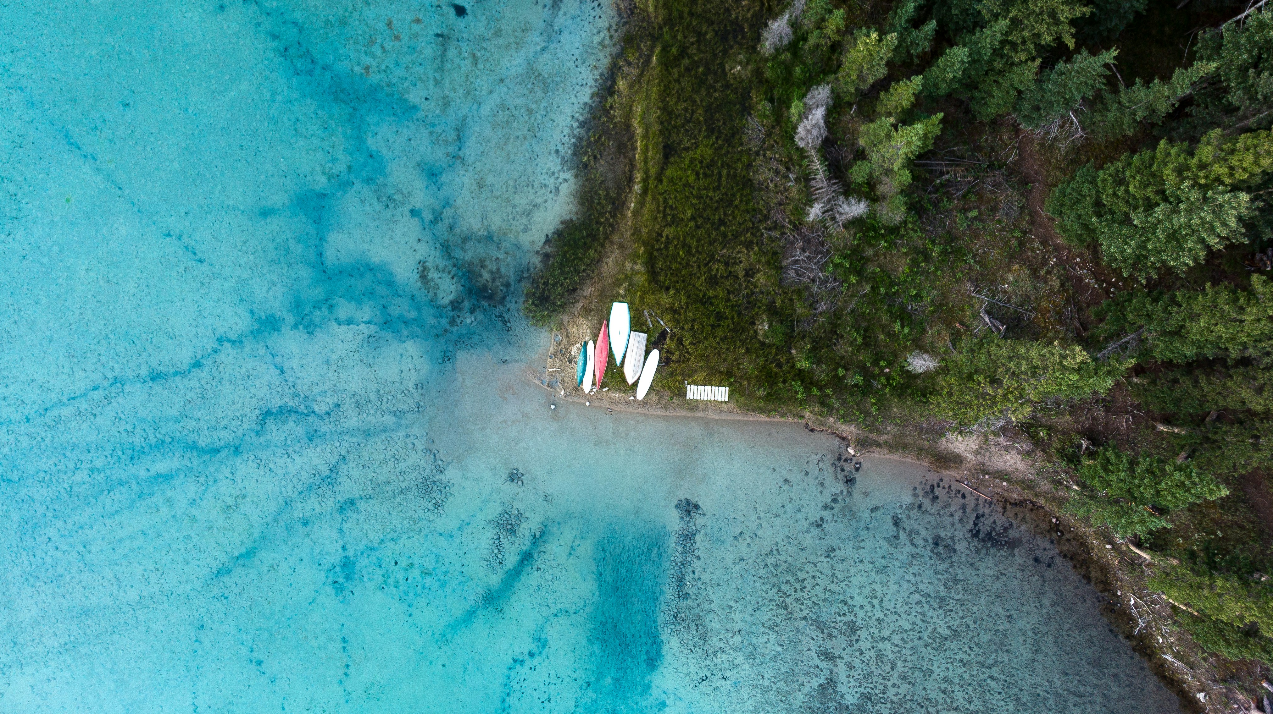 Celebracja złotego medalisty kajakarstwa w Quimperle