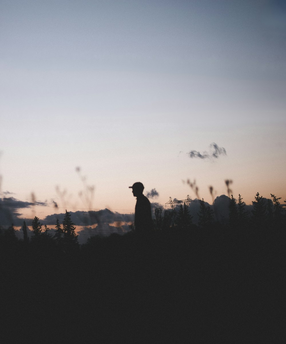 a silhouette of a person standing in a field