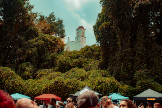 A vibrant community gathering surrounded by green plants and educational booths promoting cannabis culture.