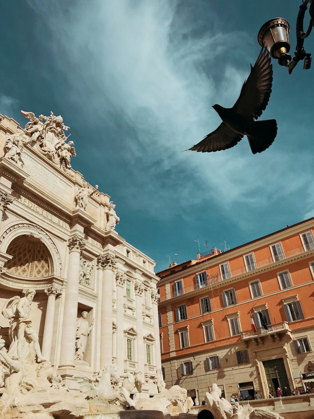 soaring bird near building