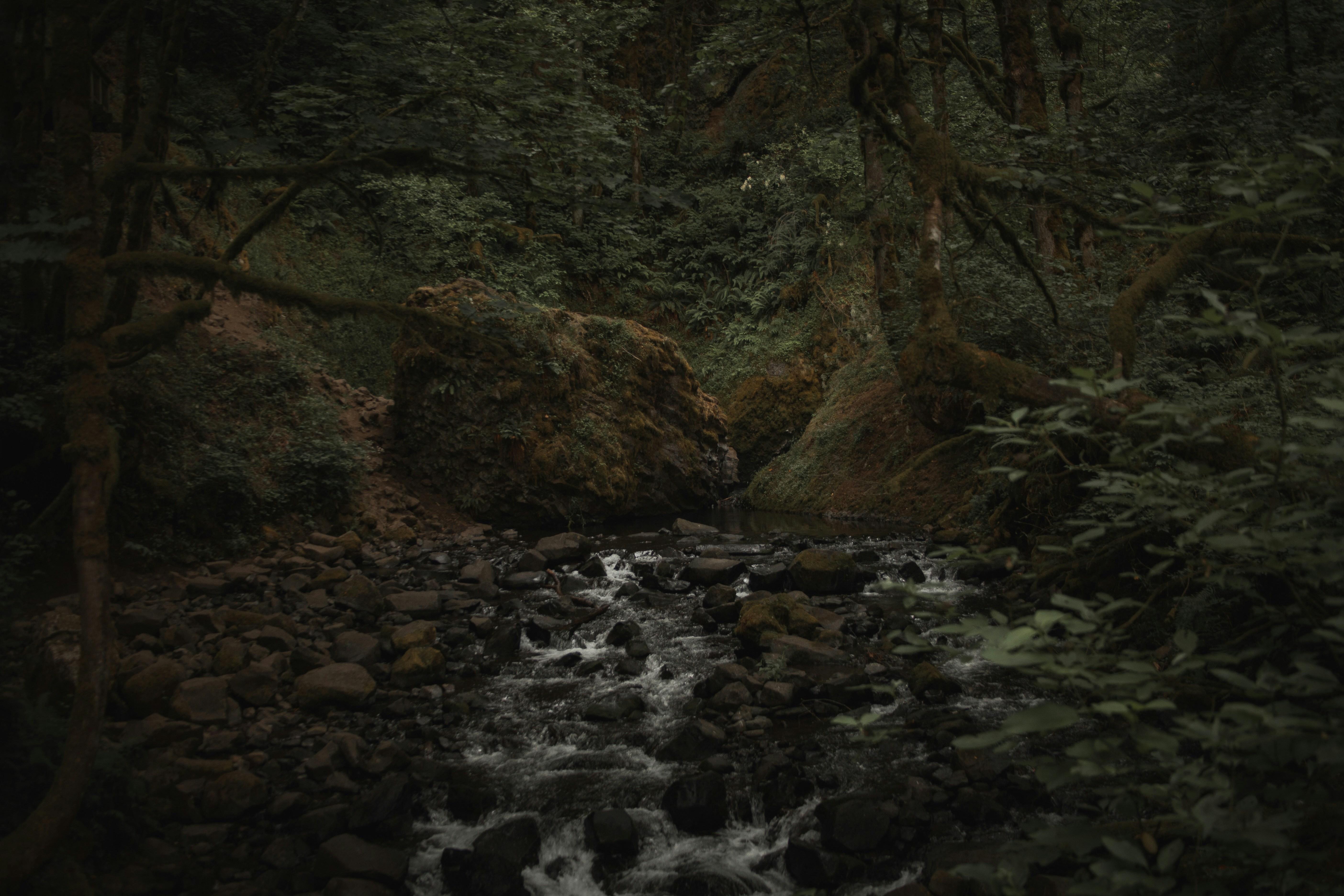 Took a walk down to the river where the waterfall meets the rocks. I shed a tear as the roaring falls crashed against the rocks like thunder in the night sky.