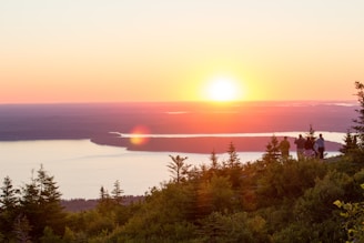forest near body of water during golden hour