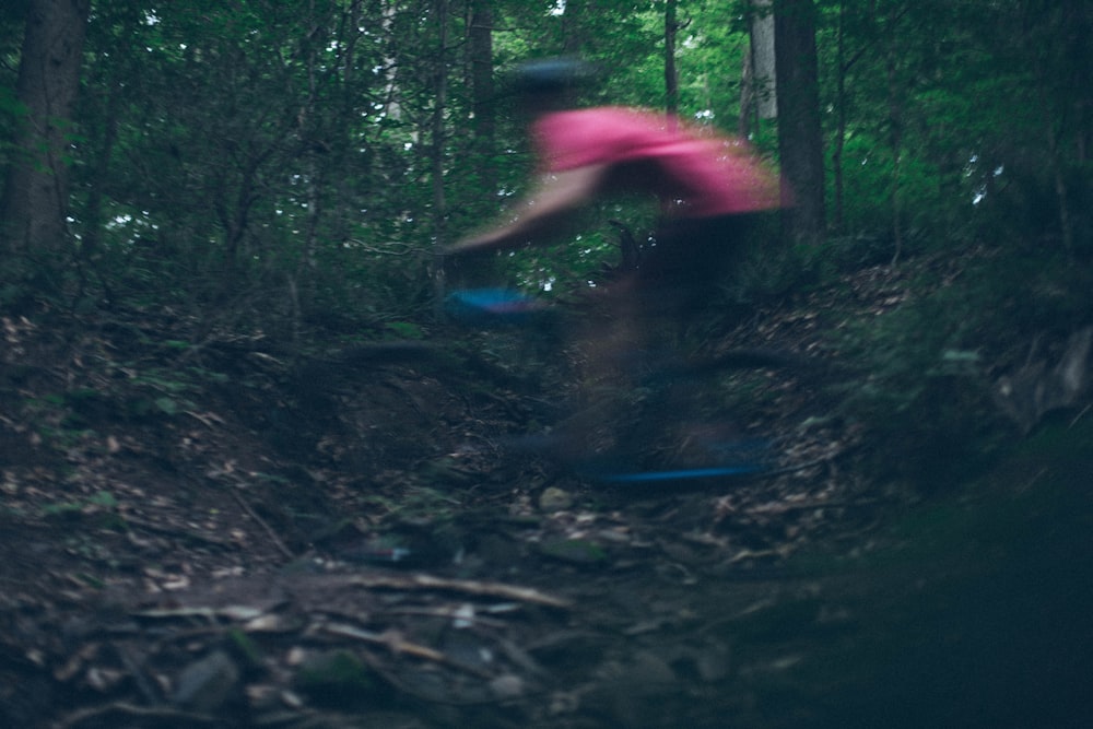 person riding on bicycle in forest