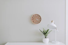 white desk lamp beside green plant