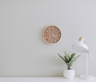 white desk lamp beside green plant