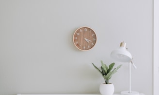 white desk lamp beside green plant