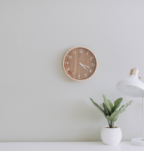 white desk lamp beside green plant