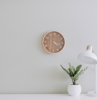 white desk lamp beside green plant