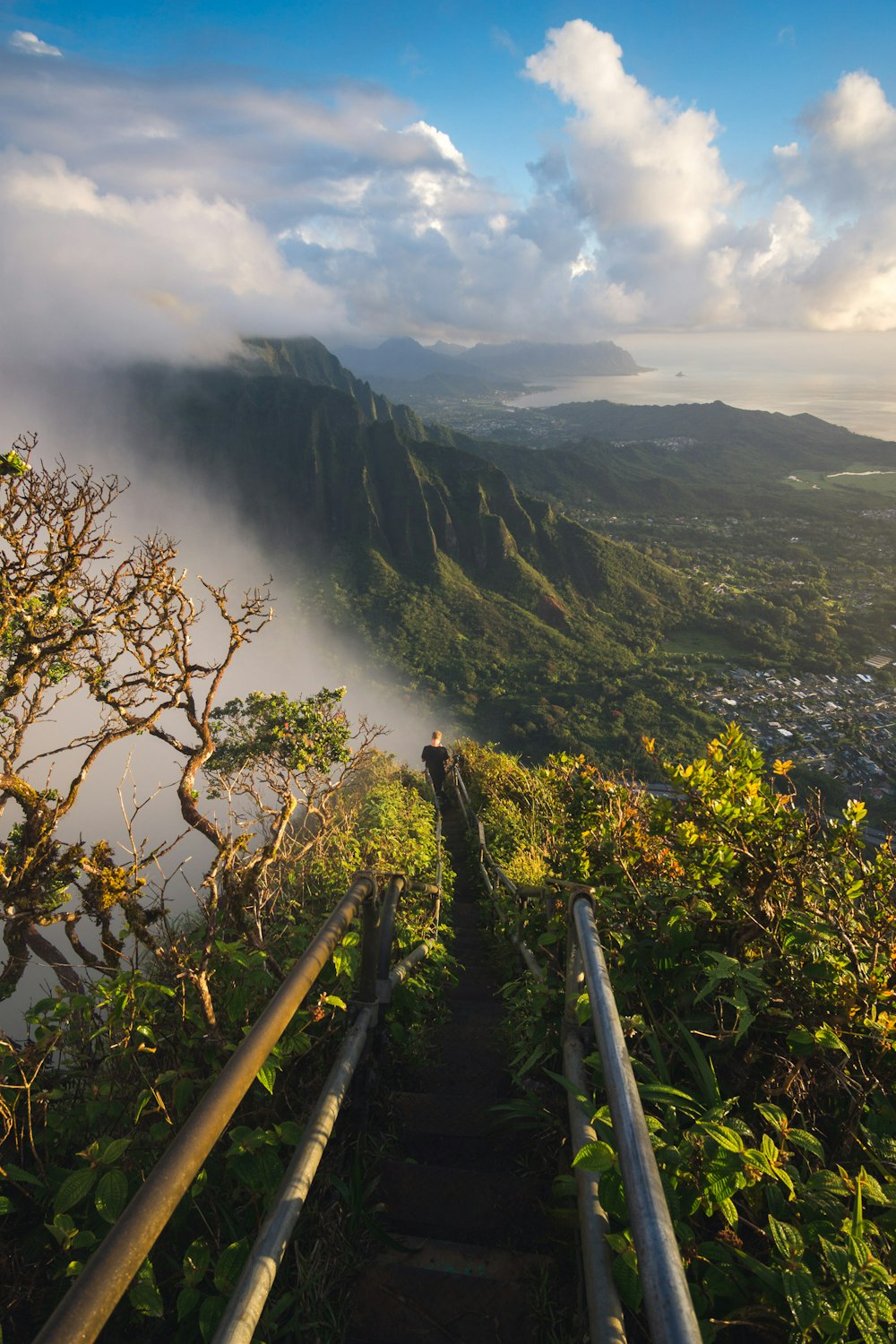 person standing on stair in front of mountain