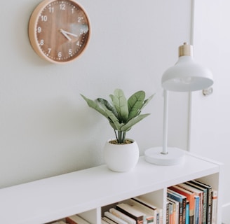 green plant on white pot beside white study lamp