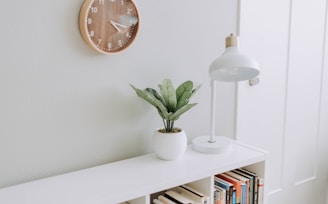 green plant on white pot beside white study lamp