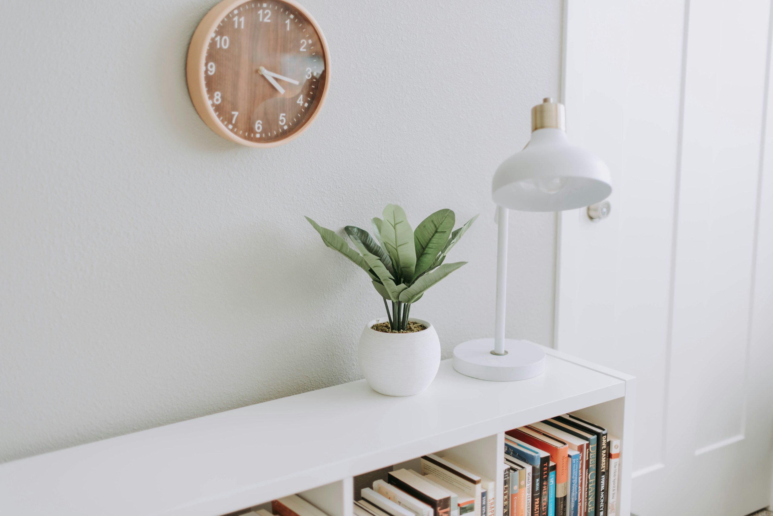 vaso branco com planta em imóveis para investir nos EUA