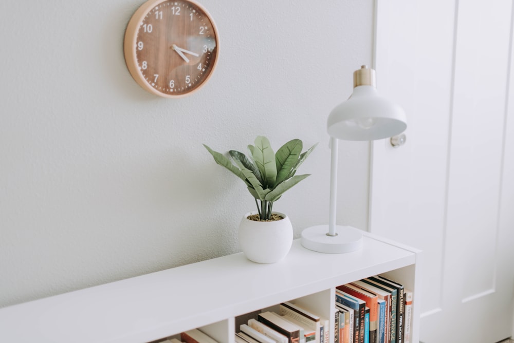 Plante verte sur pot blanc à côté de la lampe d’étude blanche