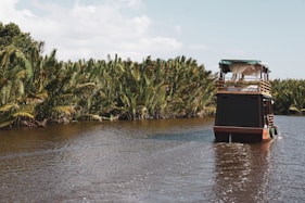 Teaser of Sekonyer River's Ambiance