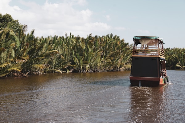 Tanjung Puting National Park: Culture & Traditions Guide