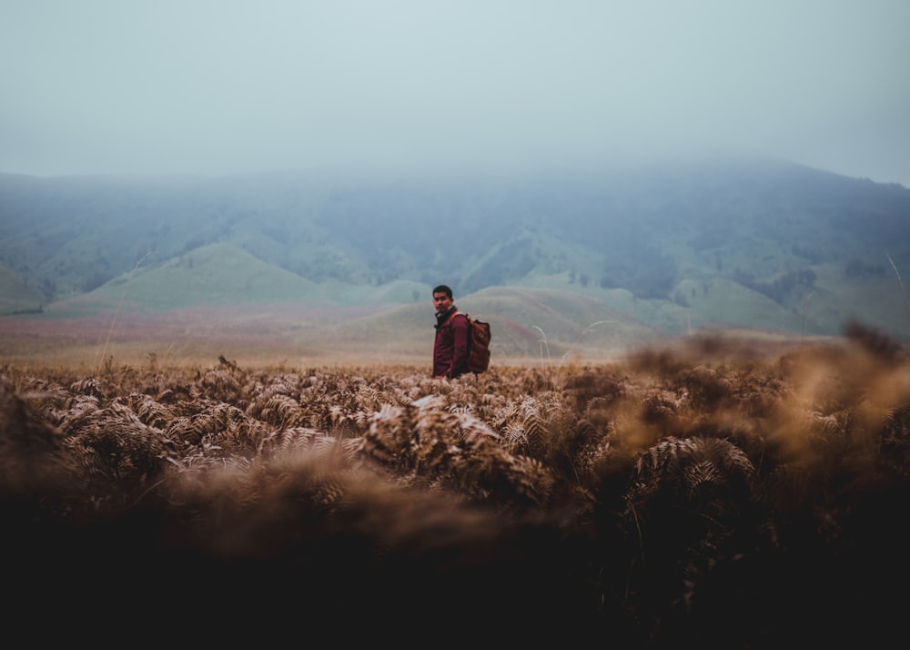 person standing on wheat field