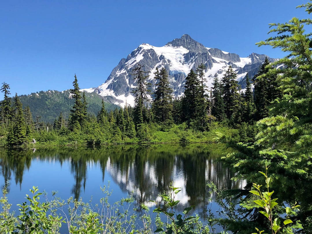 Tropical and subtropical coniferous forests photo spot Mount Baker Vance Creek Bridge