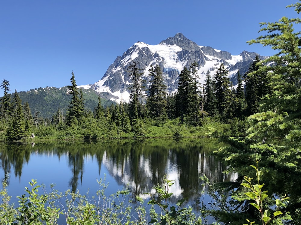 snow capped gray mountains near green pine trees and calm body of water