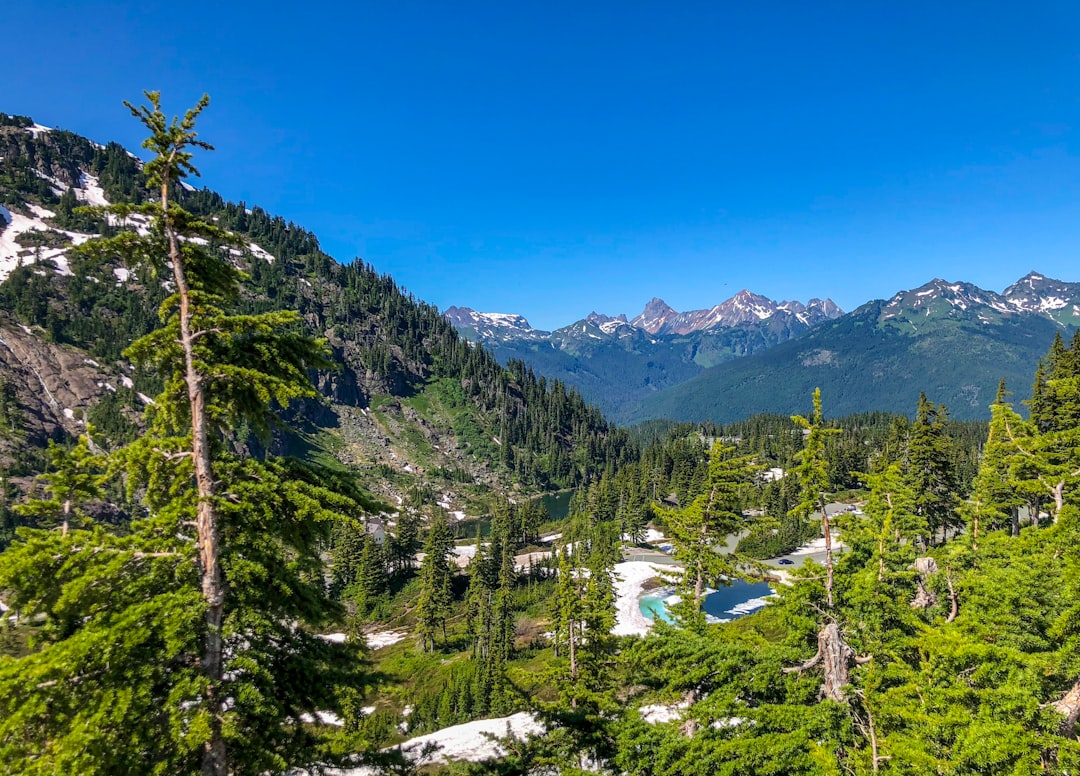 travelers stories about Tropical and subtropical coniferous forests in Mt. Baker Park, United States