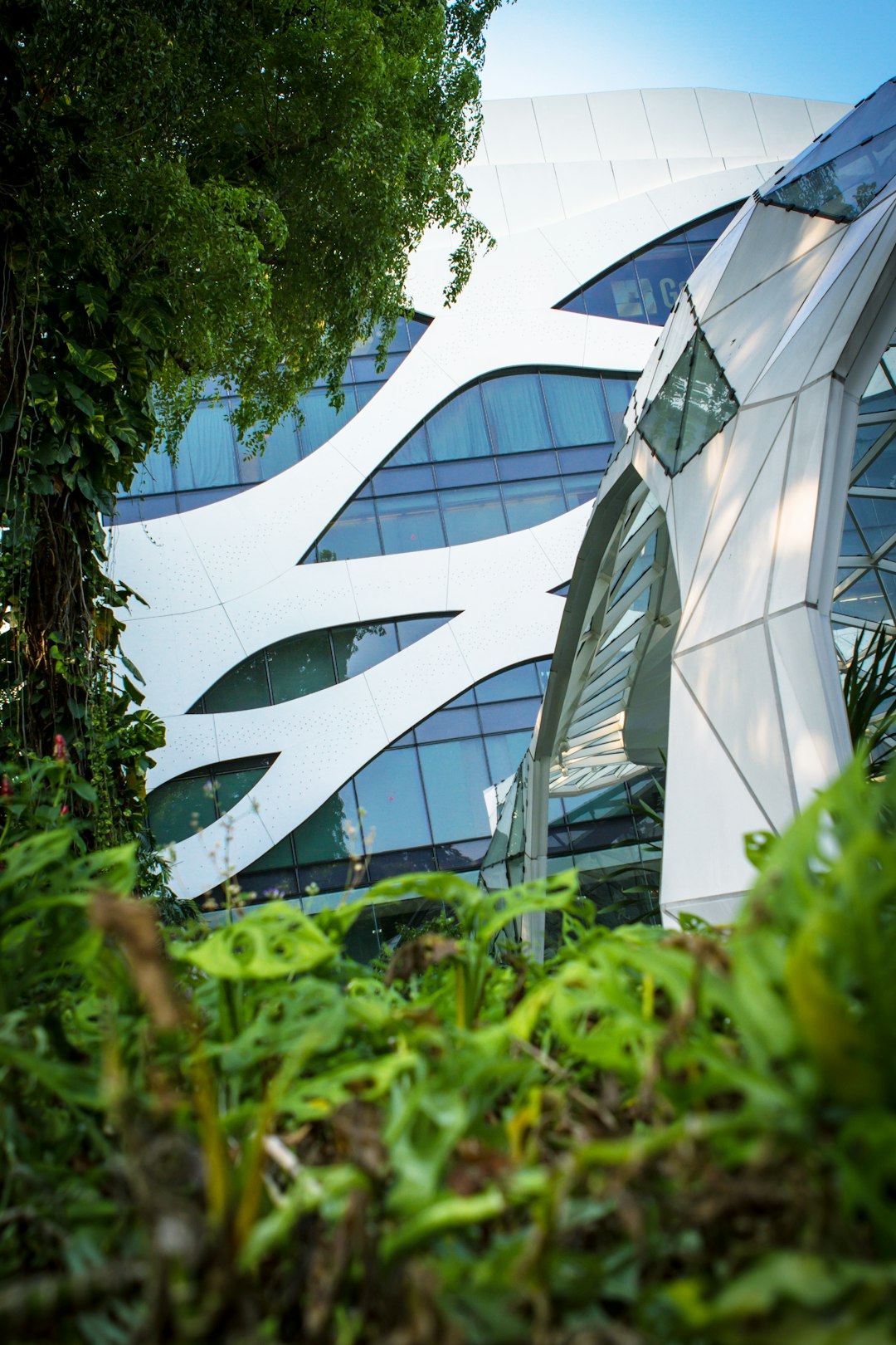 low angle photography of glass building