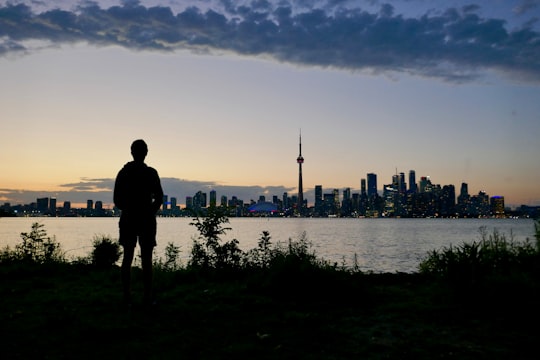 silhouette of a man standing on the grass in front of the city in CN Tower Canada