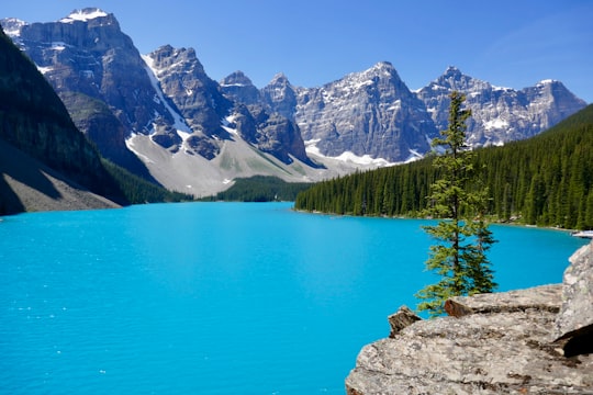 body of water surrounded by mountains and trees in Moraine Lake Canada