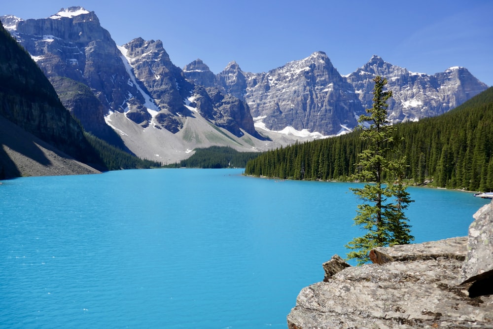 body of water surrounded by mountains and trees